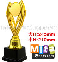 畢業帽/ 呔/ 圍裙/ T恤/ 衛衣/ 外套/ 風褸/ 襪/ 絲巾