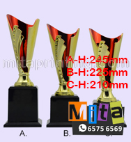 廣告扇/ 相架/ 宣傳咭