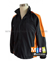 生肖錢箱/ 公仔