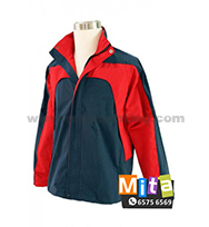 生肖錢箱/ 公仔